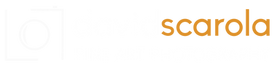 David Scarola Logo